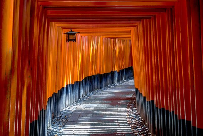 fushimi-inari-shrine-g6a3971990_1920